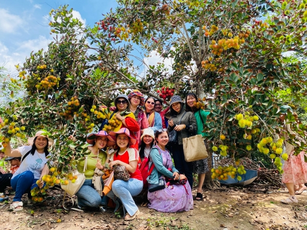 TOUR TẾT NGUYÊN ĐÁN 2026: Tour Cần Thơ - Du lịch cộng đồng Cồn Sơn 1/2 ngày | Khởi hành: Mùng 2,3,4,5,6 Tết