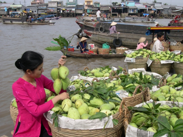 DU LỊCH CẦN THƠ, ĐI ĐÂU TRONG 01 NGÀY?