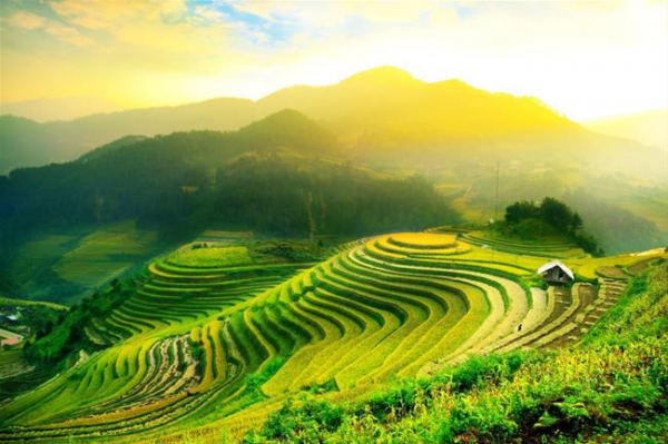 Tour Tết Nguyên Đán 2024 | Cần Thơ - Hà Nội - Sapa - Ninh Bình - Hạ Long 6N5Đ | Giá 15.990K | KH Mùng 2 Tết | Ks 3 Sao