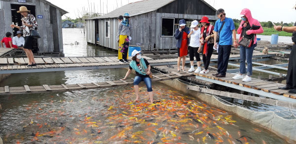 Tour Cần Thơ - Cồn Sơn - Sóc Trăng - Bạc Liêu - Cà Mau 3 Ngày 2 Đêm | KH Thứ 5 hàng tuần | Giá 3.190K | Tour Miền Tây Ghép Khách Lẻ 2024