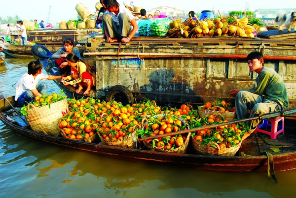 Tour Miền Tây 2025: Tour Chợ nổi Cái Răng - Vườn Trái Cây 1/2 ngày