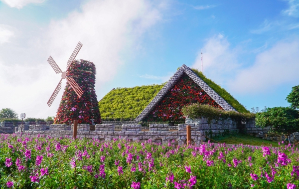 Tour hè 2025: Cung đường biển hoa: Phan Thiết - Đà Lạt - Đồi Cát Vàng - Samten Hills - Fresh Garden - Đạ Lạch Noah Farmstay (khách sạn 3 sao)