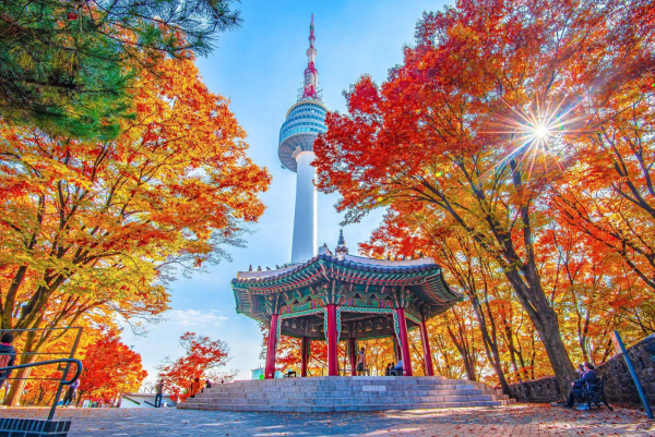 TOUR NƯỚC NGOÀI LỄ QUỐC KHÁNH 02/9 : TOUR HÀN QUỐC [SEOUL NAMI] 4 NGÀY 4 ĐÊM
