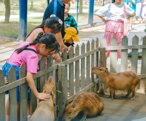 CHƯƠNG TRÌNH NGOẠI KHÓA | TRẢI NGHIỆM HOẠT ĐỘNG NGOẠI KHÓA THÚ VỊ TẠI CẦN THƠ ECO RESORT