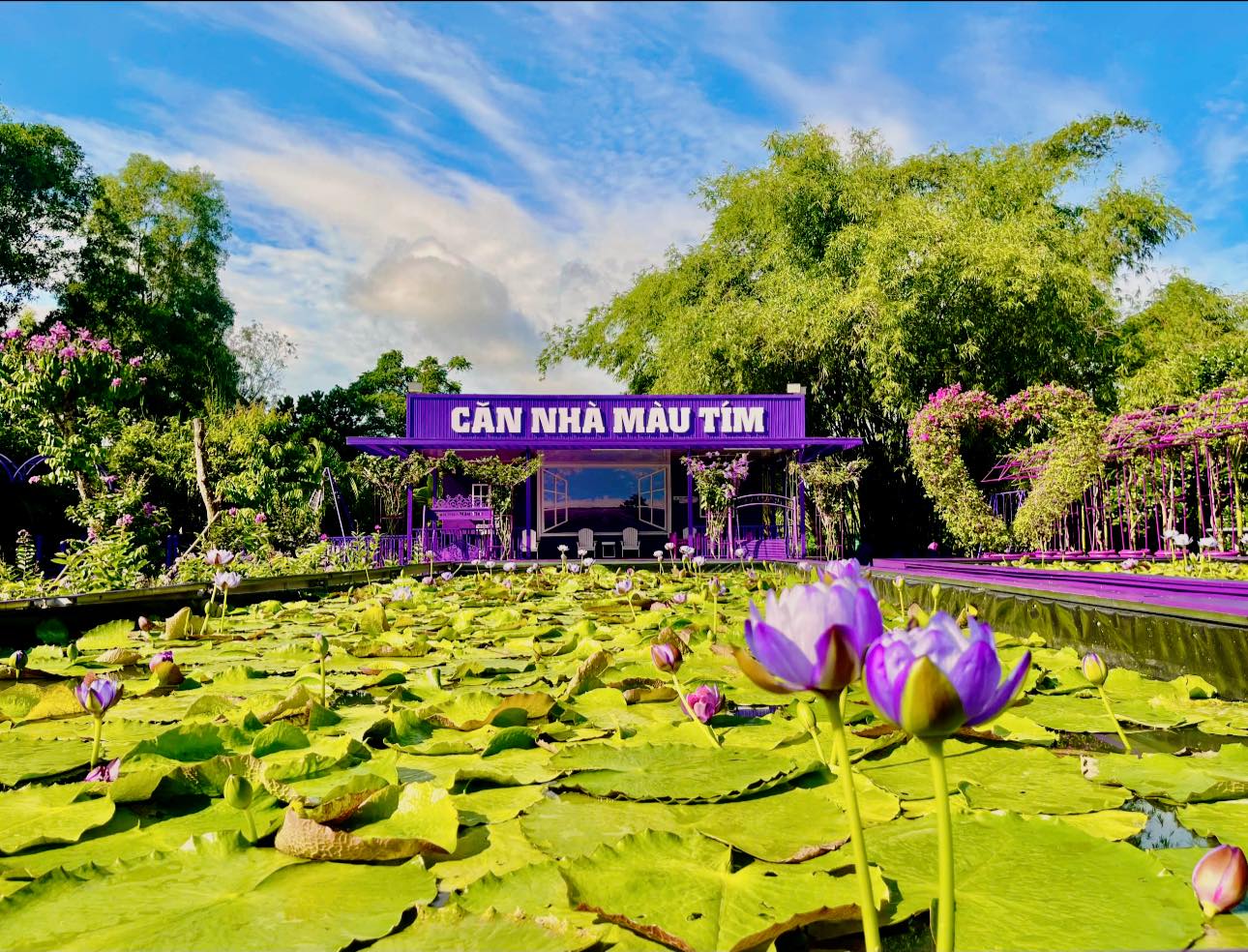Căn nhà màu tím