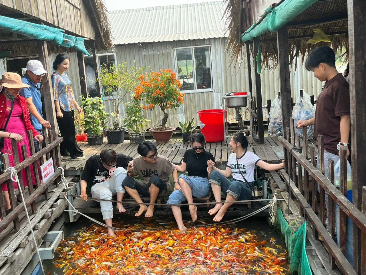 Trải nghiệm Massage Cá