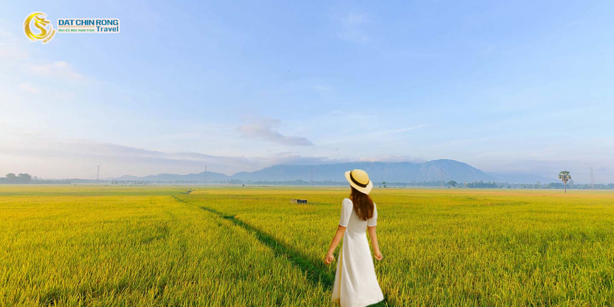 cánh đồng tà pạ