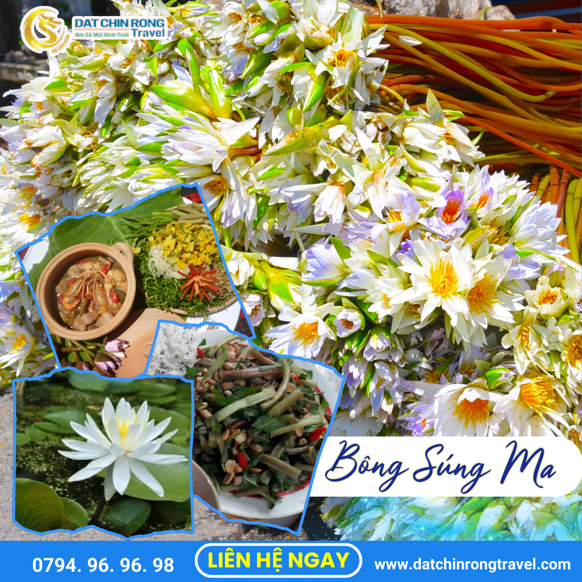 Bông súng ma